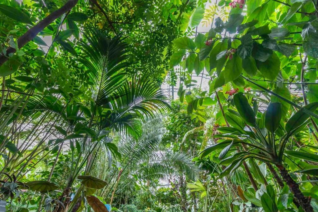 Sunningwell The Greenhouse Oxford المظهر الخارجي الصورة